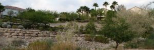 Homes along Pueblo Village park