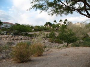 Homes along Puevlo Village Park Las Vegas