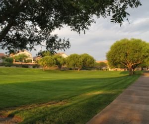 spacious homes line Pueblo Village park
