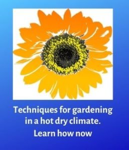 hot gardens techniques link