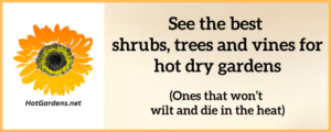 hot gardens website promo