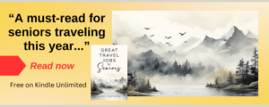 great travel jobs for seniors ebook paperback